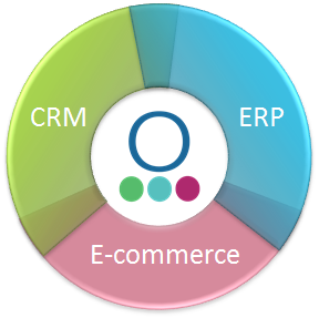 ERP and e-commerce solution for service companies